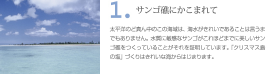 クリスマス島の塩の作り方　プロセス1