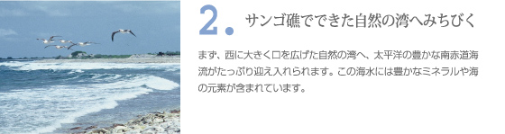 クリスマス島の塩の作り方　プロセス2