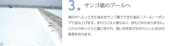 クリスマス島の塩の作り方　プロセス3