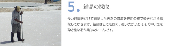 クリスマス島の塩の作り方　プロセス5