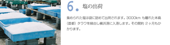 クリスマス島の塩の作り方　プロセス6