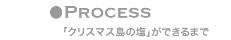 クリスマす島の塩ができるまで